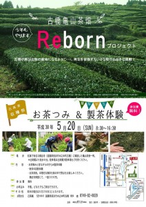 お茶つみ＆製茶体験 @ 鶏足寺に隣接した亀山茶畑一帯 | 長浜市 | 滋賀県 | 日本